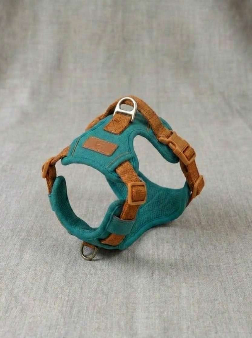 Harness + Lead Sets