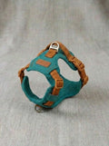 Lake Blue Harness