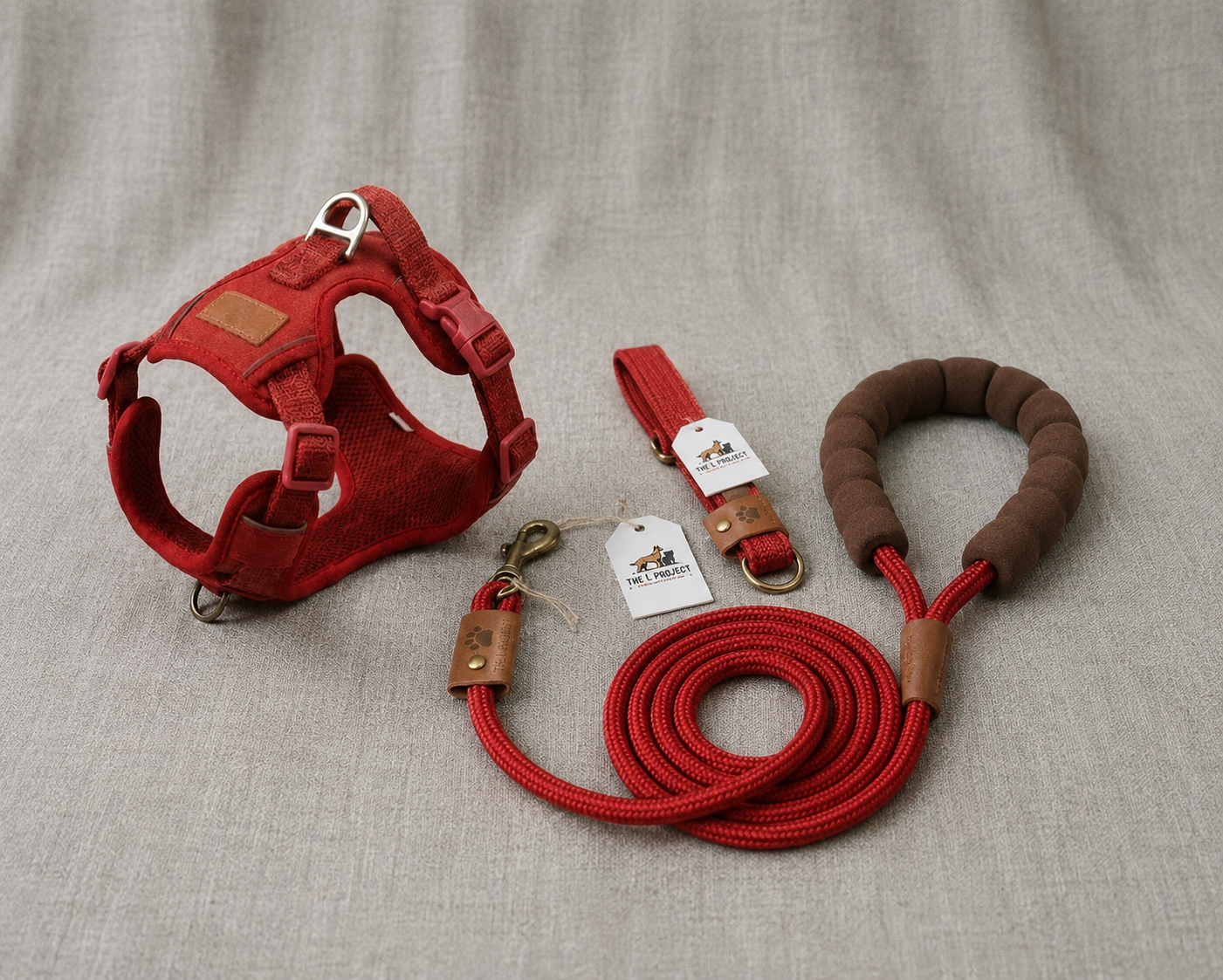 Harness + Collar +Lead