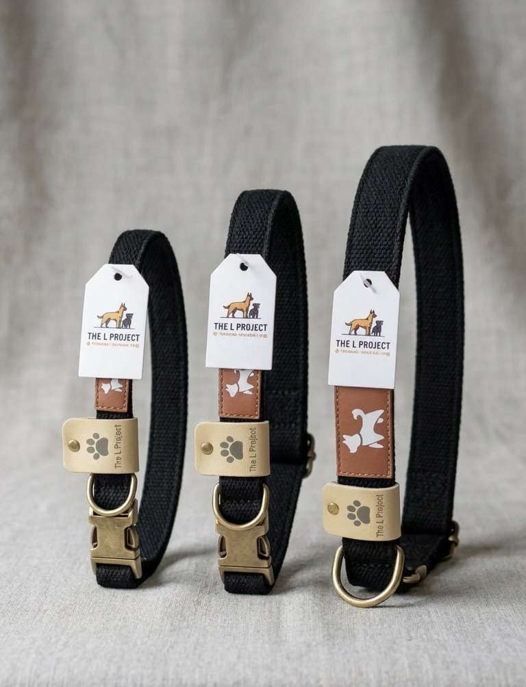 Onyx Black Dog Collar