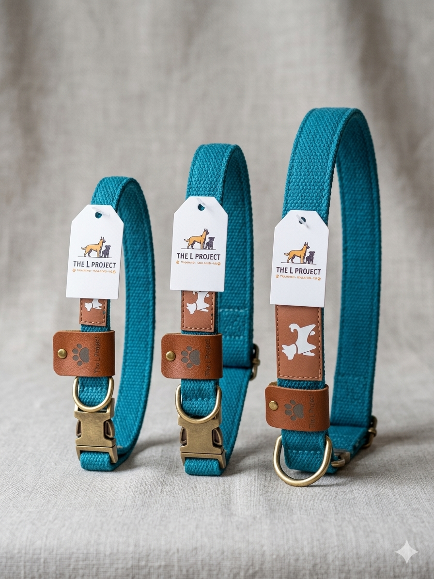 Lake Blue Dog Collar