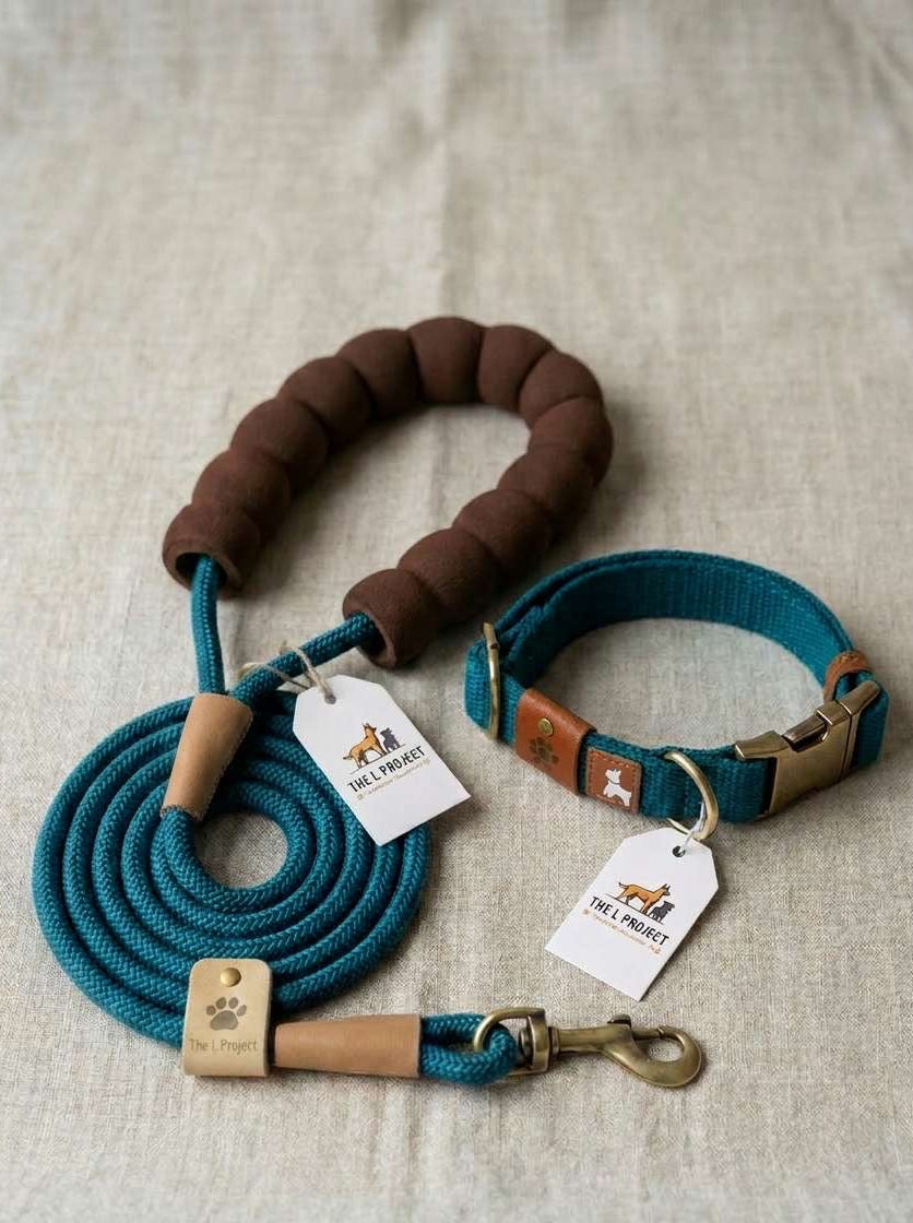 Dog Collar+Lead Sets