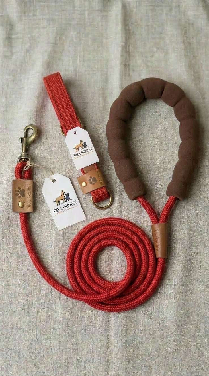 Dog Collar+Lead Sets