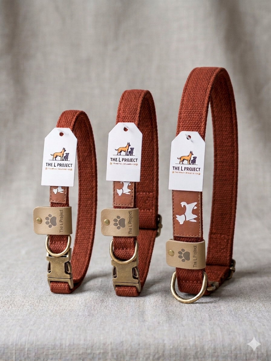 Rustic Red Dog Collar